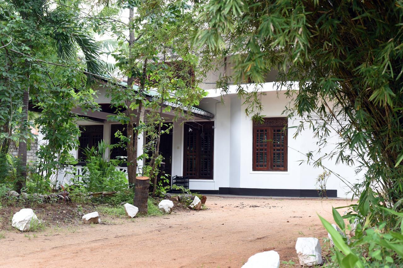 Sun And Green Eco Lodge - Dambulla Exterior photo