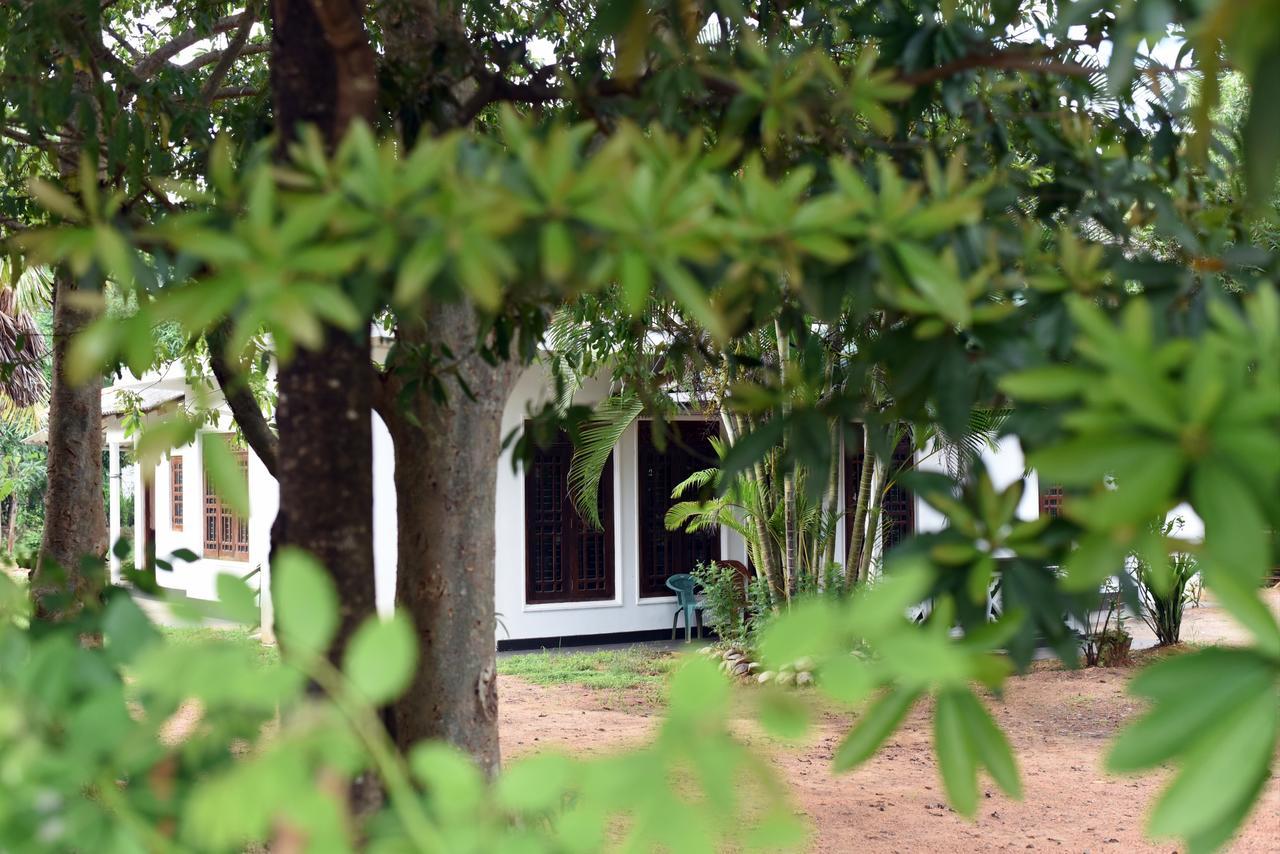 Sun And Green Eco Lodge - Dambulla Exterior photo