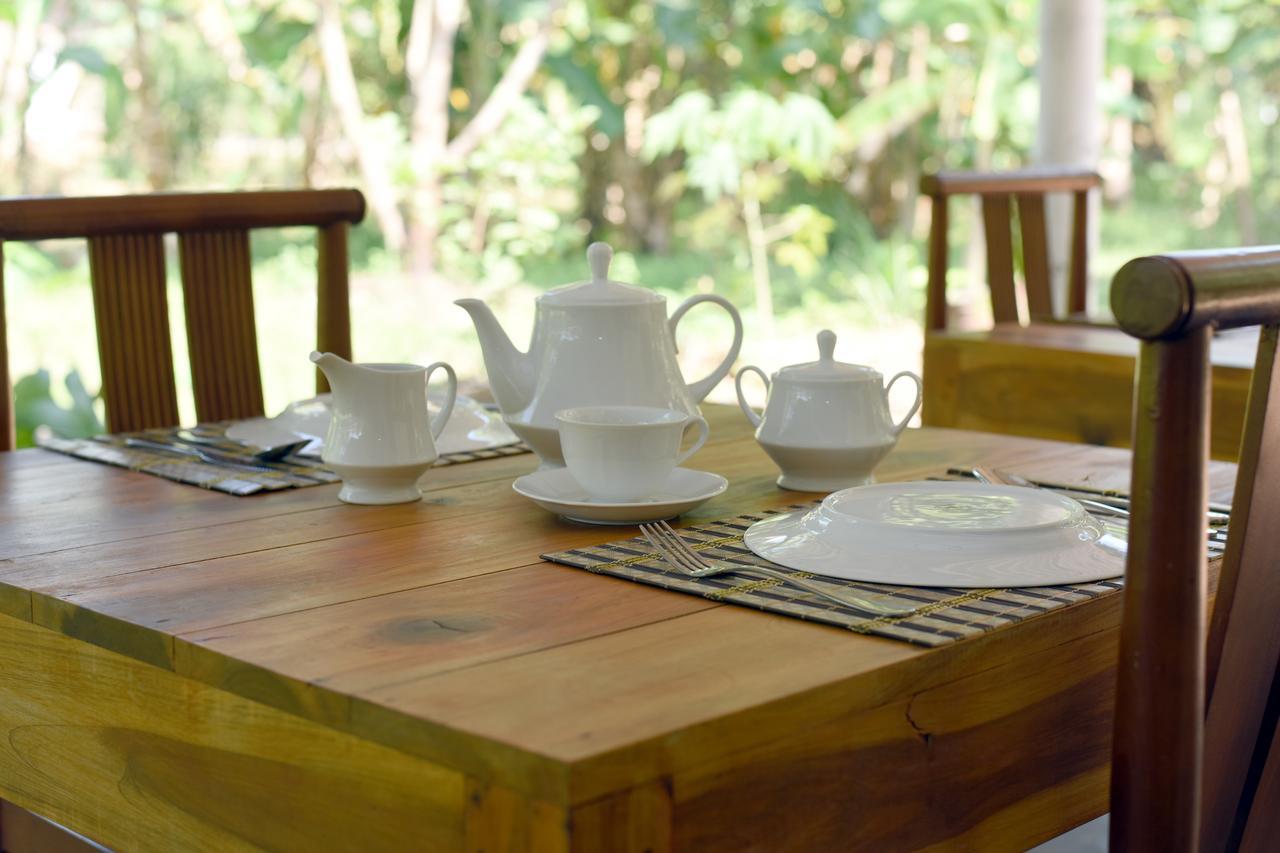 Sun And Green Eco Lodge - Dambulla Exterior photo