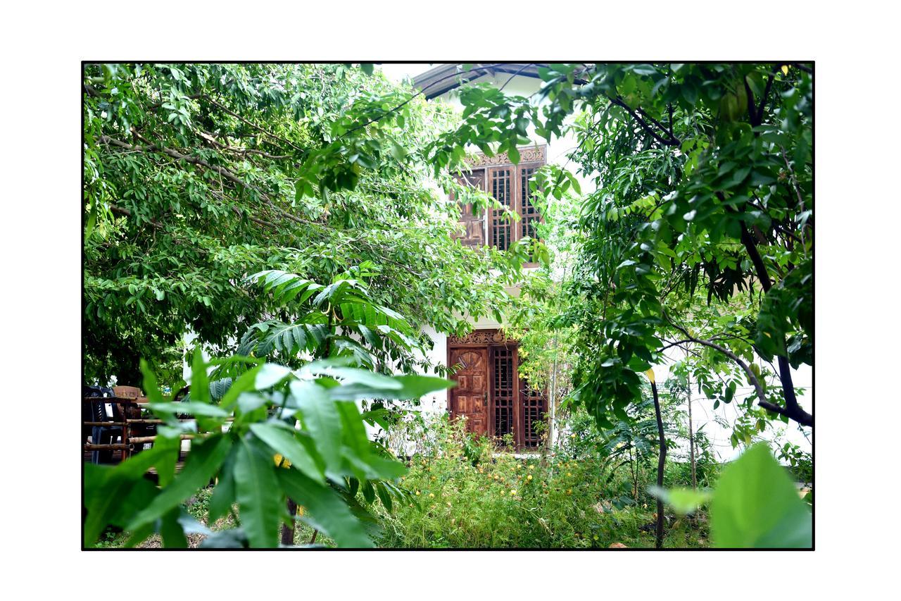 Sun And Green Eco Lodge - Dambulla Exterior photo
