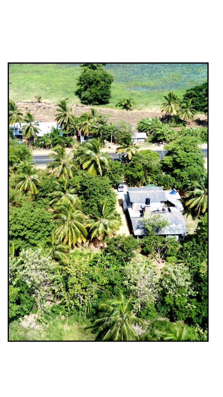 Sun And Green Eco Lodge - Dambulla Exterior photo