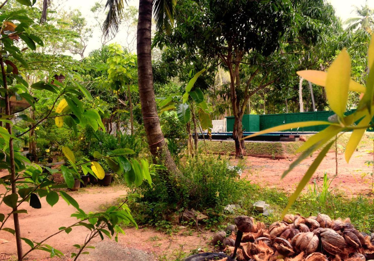 Sun And Green Eco Lodge - Dambulla Exterior photo
