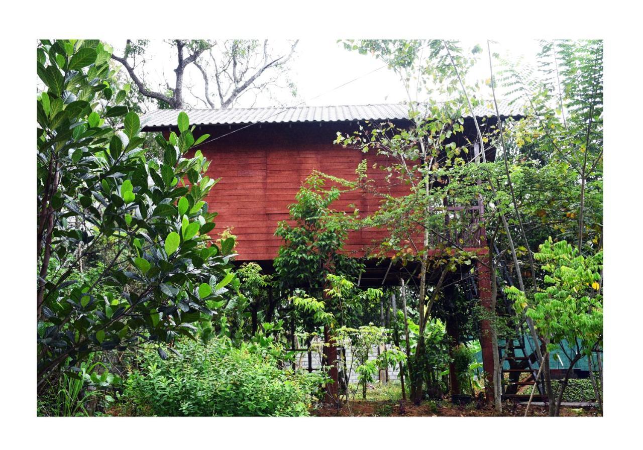 Sun And Green Eco Lodge - Dambulla Exterior photo