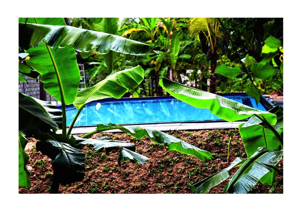 Sun And Green Eco Lodge - Dambulla Exterior photo