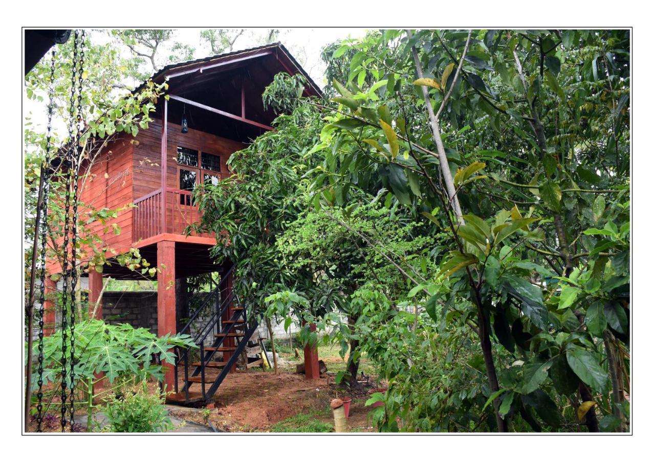 Sun And Green Eco Lodge - Dambulla Exterior photo