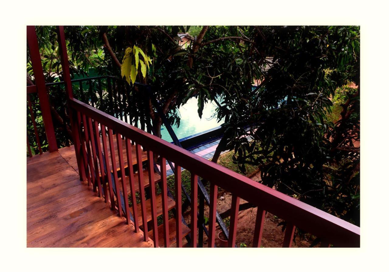 Sun And Green Eco Lodge - Dambulla Exterior photo