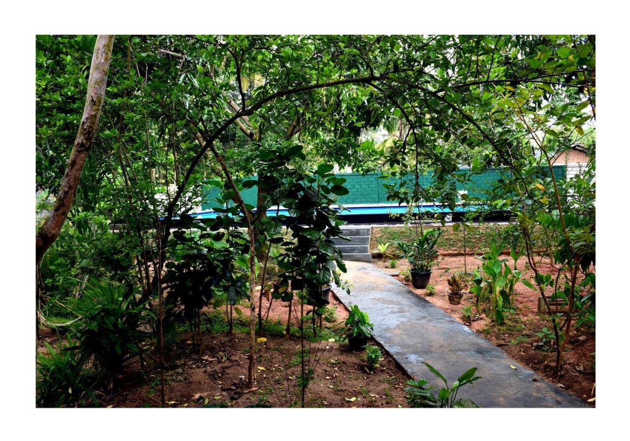Sun And Green Eco Lodge - Dambulla Exterior photo