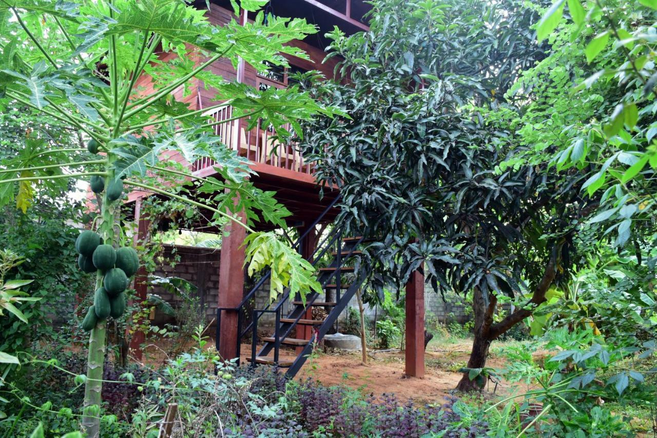 Sun And Green Eco Lodge - Dambulla Exterior photo