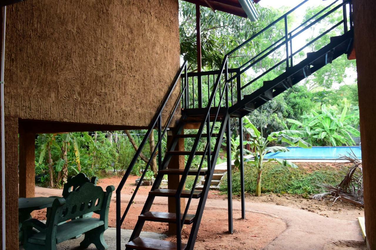 Sun And Green Eco Lodge - Dambulla Exterior photo